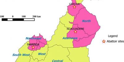 Camerun mostrant les regions mapa